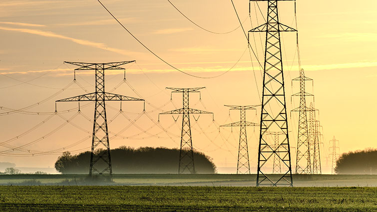 C.H. Robinson energy logistics market update